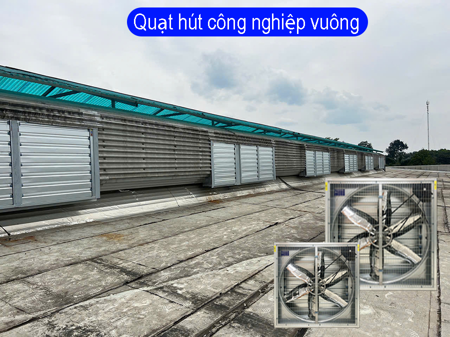 Quạt hút công nghiệp
