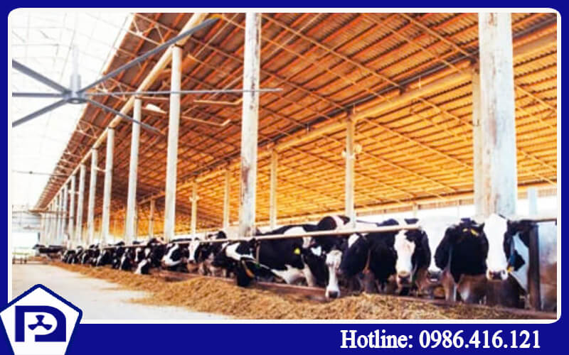 Quạt trần 6 cánh